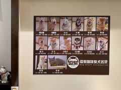 -逗柴咖啡屋·狗咖猫咖宠物桌游