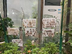 -上海大自然野生昆虫馆