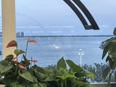 -朵云书院(滴水湖店)
