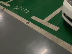 -森林象亲子餐厅·儿童生日会