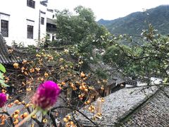 -婺源梦里老家大型山水实景演出