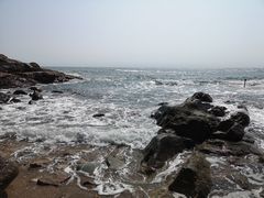 -广东惠东海龟国家级自然保护区