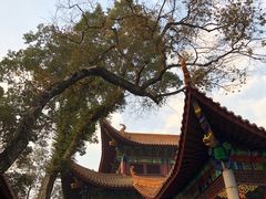 -炎帝陵景区
