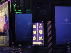 -枫花园汽车电影院(朝阳公园店)