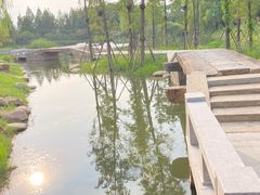 -澹台湖公园