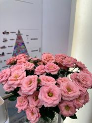 -MIDA蜜哒•科技逆龄美肤连锁