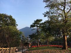 -广州市流溪河国家森林公园