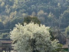 -晓琦农家菜馆·地道农家菜