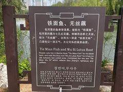 -包公祠