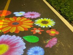 -西涌国际滨海旅游区