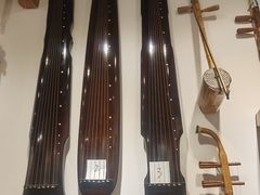 -宣科纳西古乐·非遗音乐(大水车店)