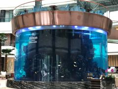 -OPEN開全日自助餐厅·牛肉火锅·海鲜(佛山希尔顿酒店)