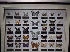 -上海昆虫博物馆