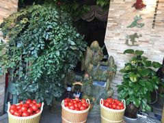 -蕃茄述·好汤自然来(江汉路店)