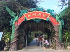 门面-瑞丽独树成林风景区