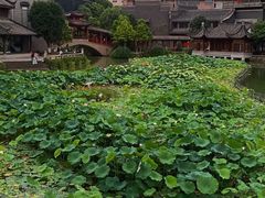 -龙潭水乡