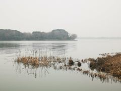 -长广溪湿地公园