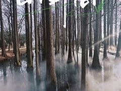 -东湖落雁景区