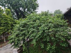 -恭王府博物馆