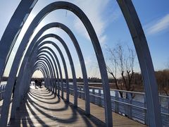 -大兴滨河森林公园