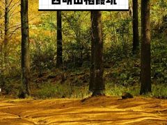 -四明山国家森林公园
