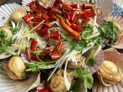 -鲁前海沿儿