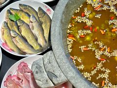 -石锅苗苗鱼(武汉首店)