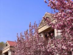 -天津五大道文化旅游区