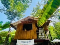 -大围山国家森林公园