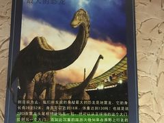 -世界恐龙谷景区