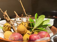 -季季山·云南野生菌火锅(上海首店)