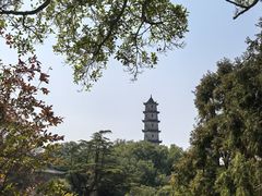 -江心屿景区