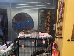 -谜盒子奇幻密室(南屏店)