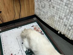 -联合动物医院(光谷诊疗中心)