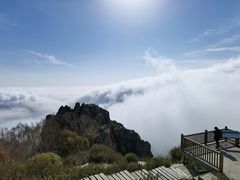 -白草畔自然风景区