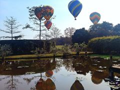 -中国科学院西双版纳热带植物园