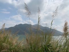 -羚羊峡古栈道森林公园