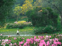 -中国科学院华南植物园