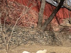 -五台山圆照寺