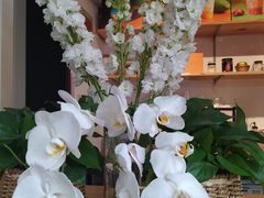 -LA MATCHA抹茶吧(进贤路店)