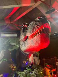 -恐龙探索乐园(磁器口店)