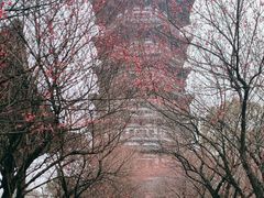 -洋湖国家湿地公园