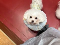 -和它·交个朋友·狗咖猫咖(爱琴海店)