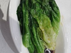 -潮江春(阳光店)
