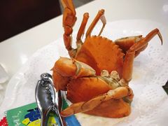 -鑫悦楼煎蟹·16年海鲜大排档