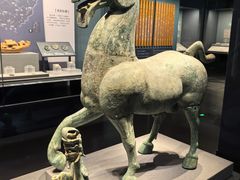 -广西壮族自治区博物馆