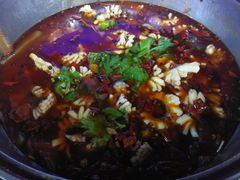 -重庆乌鱼庄·龙滋鲜(青羊大道店)