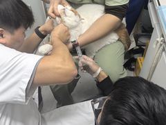 -达爱动物医院·犬猫分区·CT·复杂眼科(远洋山水分院)