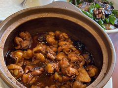 -杨厨的田园饭店(长城路店)