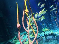 -沈阳海洋探索中心